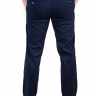 Брюки мужские темно-синие 1495