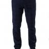 Брюки мужские синие 23867
